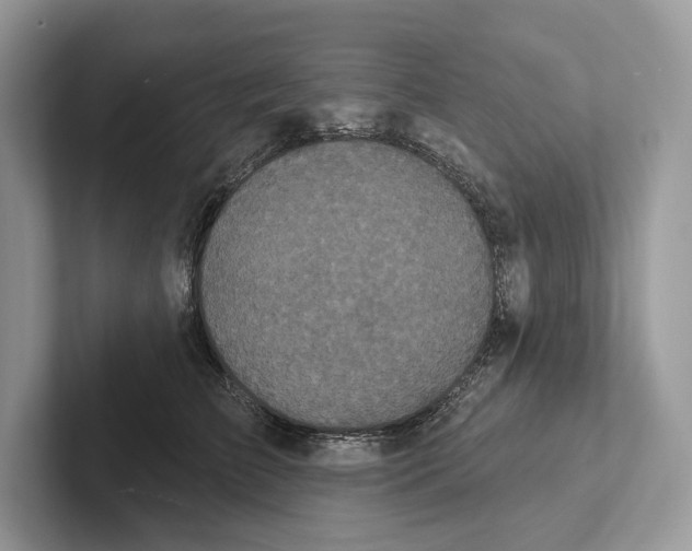 X0000100920709200807221116