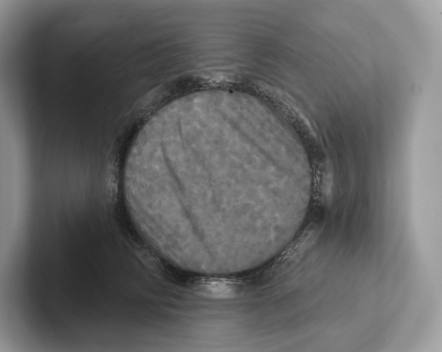 X0000100920710200807221116