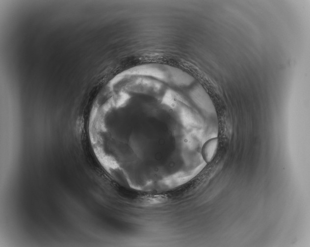 X0000100920711200807221116
