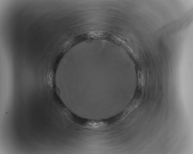 X0000100920712200807221116