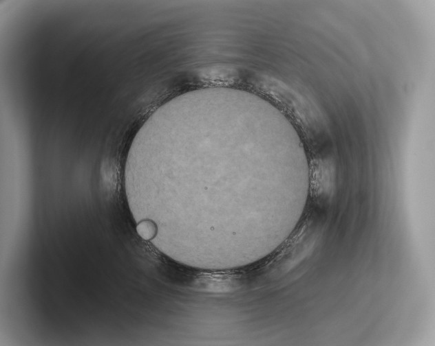X0000100920713200807221116