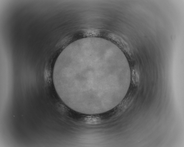 X0000100920714200807221116