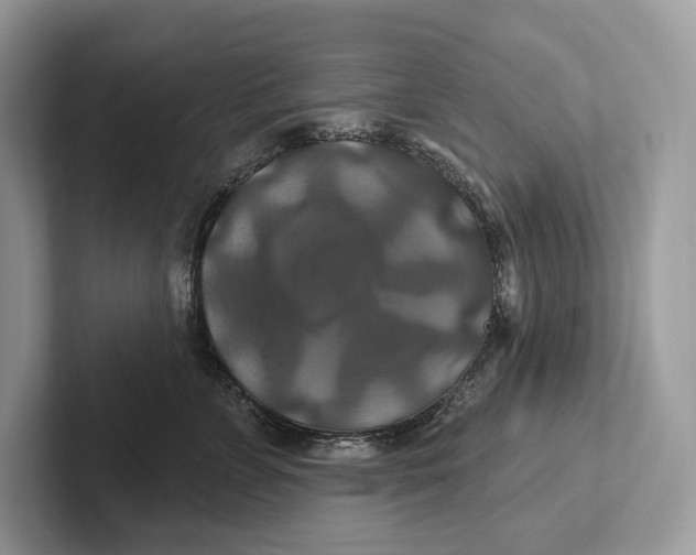 X0000100920715200807221116