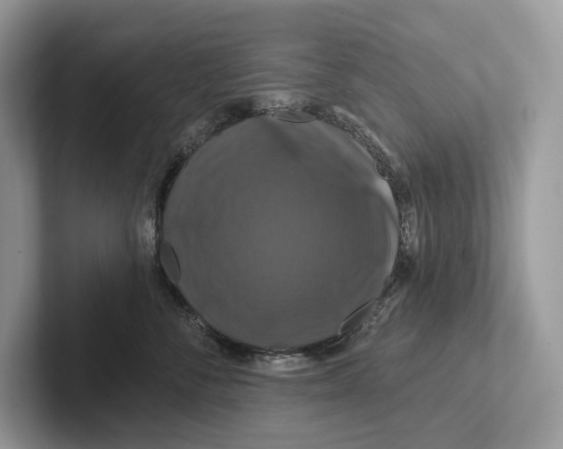X0000100920716200807221116