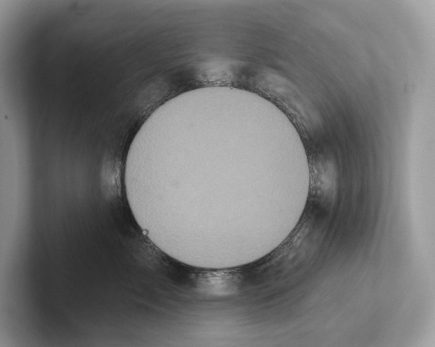 X0000100920717200807221116