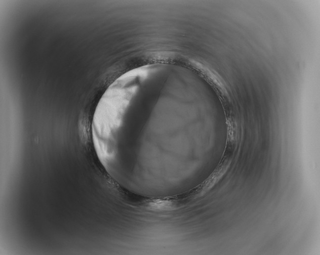 X0000100920718200807221116