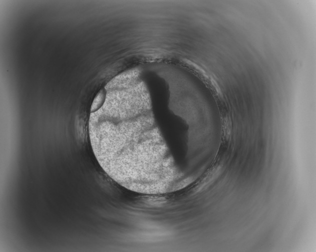 X0000100920719200807221116