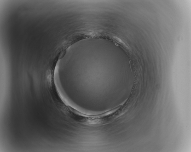 X0000100920720200807221116