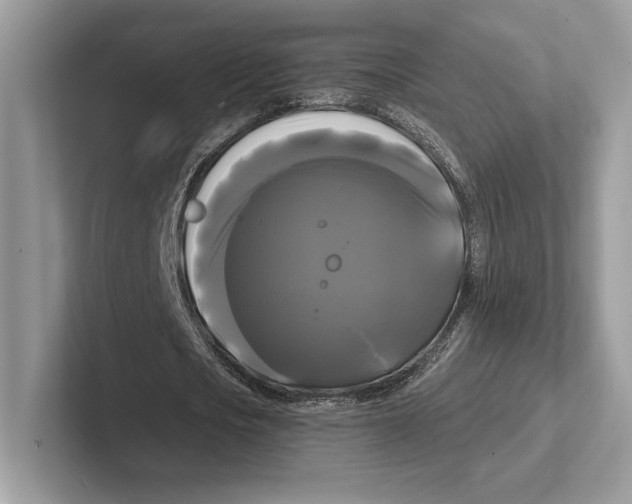 X0000100920721200807221115