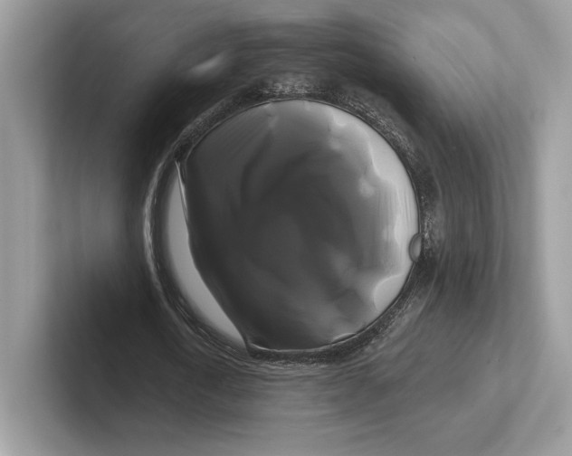 X0000100920722200807221115
