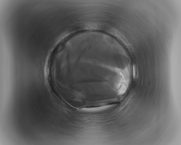 X0000100920723200807221115