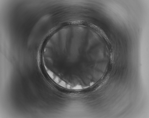 X0000100920725200807221115