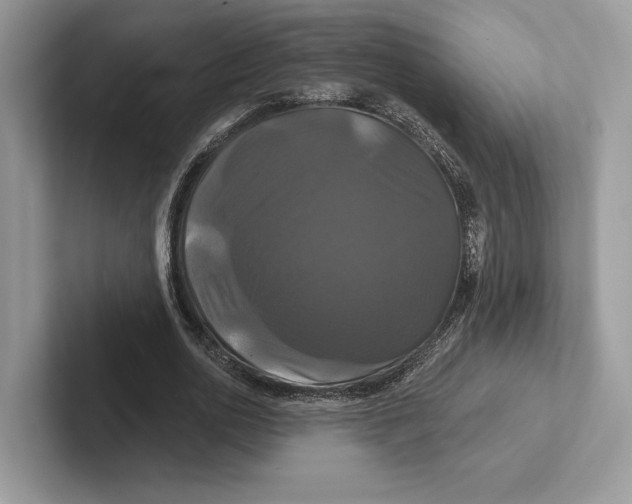 X0000100920726200807221115