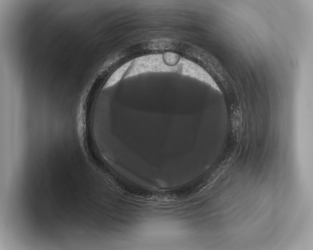 X0000100920727200807221115