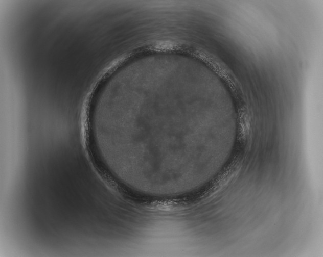 X0000100920728200807221115