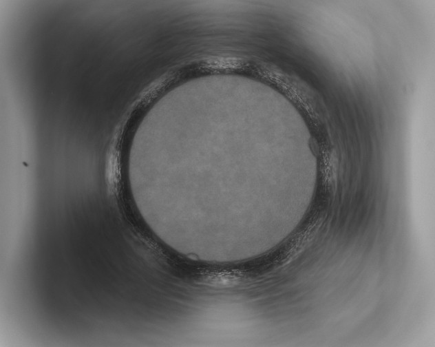 X0000100920731200807221115