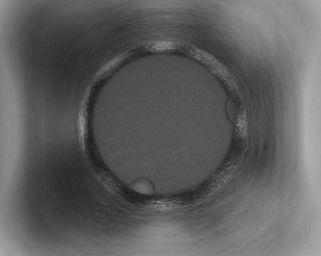 X0000100920732200807221115