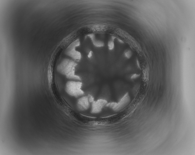 X0000100920733200807221115