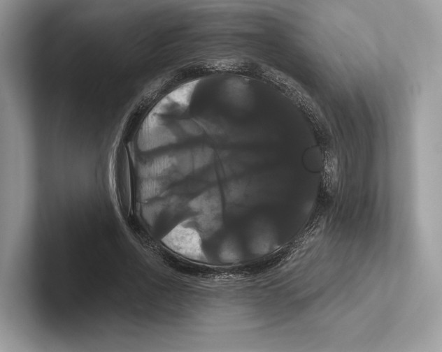 X0000100920734200807221115