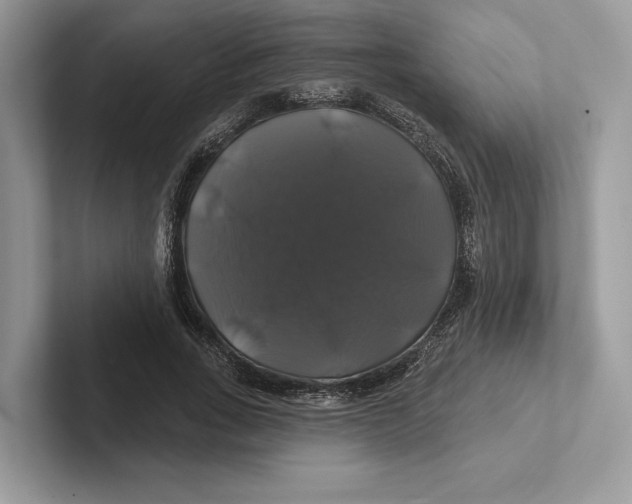 X0000100920735200807221115