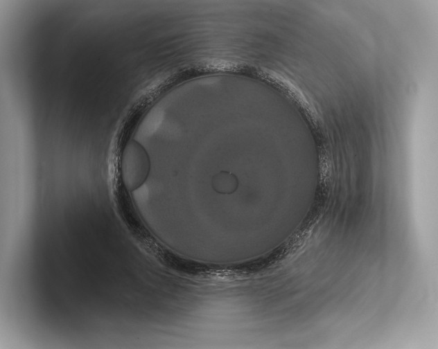 X0000100920736200807221115