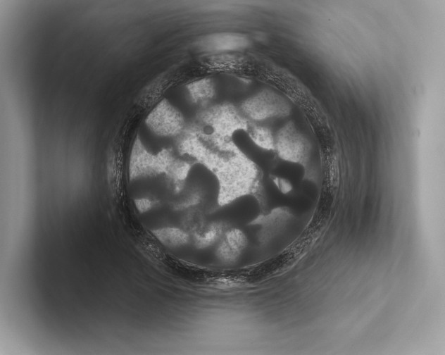 X0000100920737200807221115