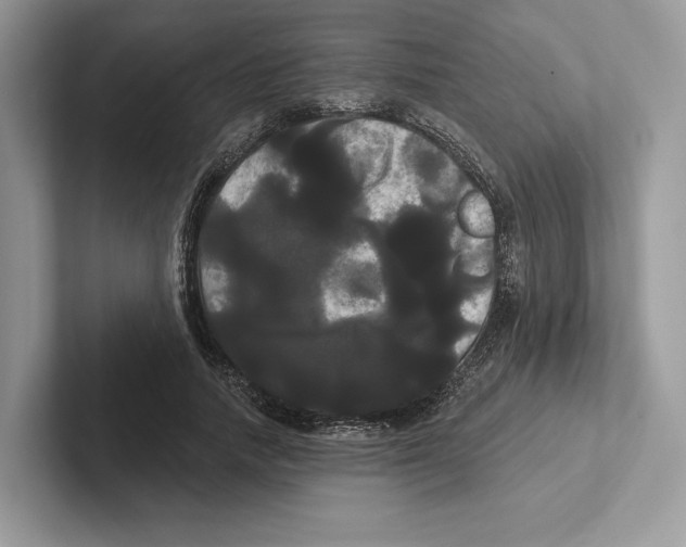X0000100920738200807221115
