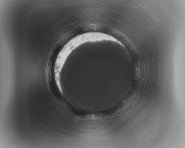 X0000100920739200807221115