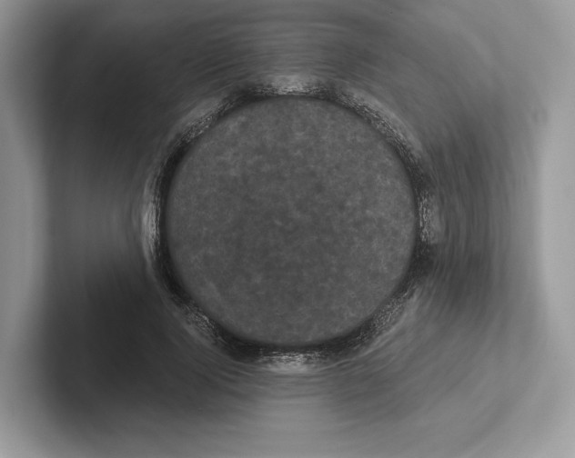 X0000100920740200807221115