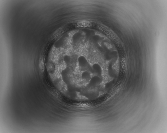 X0000100920741200807221115