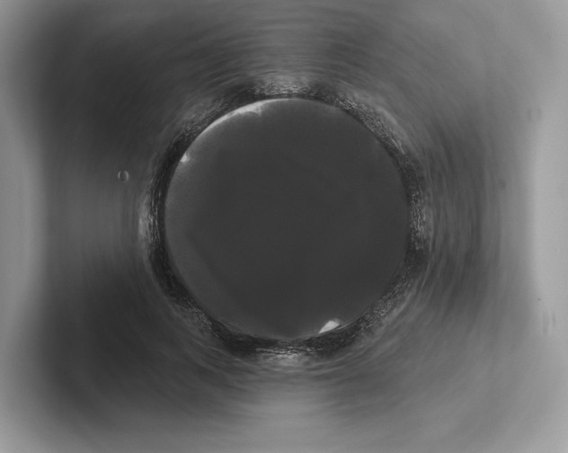 X0000100920743200807221115
