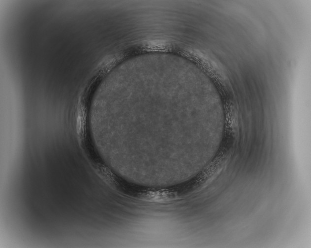X0000100920744200807221115