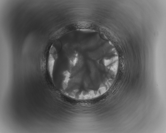 X0000100920745200807221115