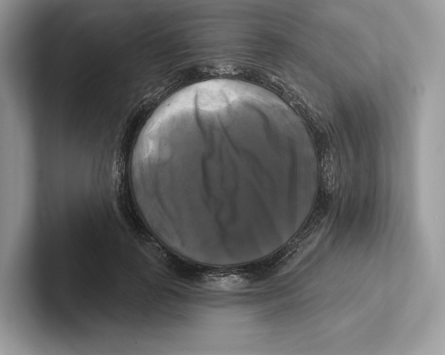 X0000100920747200807221115