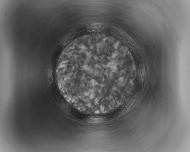 X0000100920749200807221115