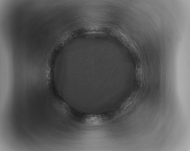 X0000100920750200807221115