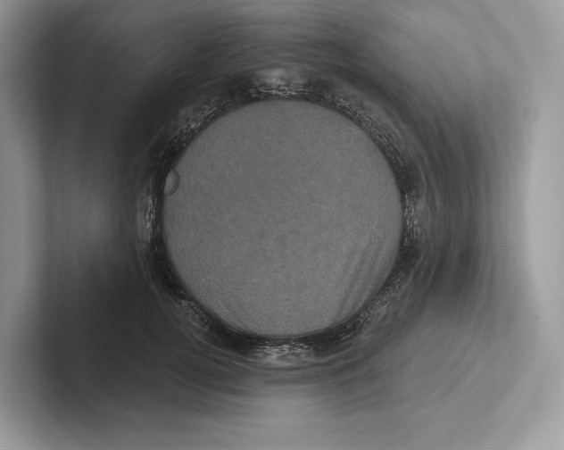 X0000100920752200807221115