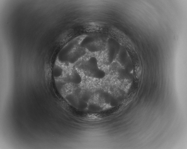 X0000100920753200807221115