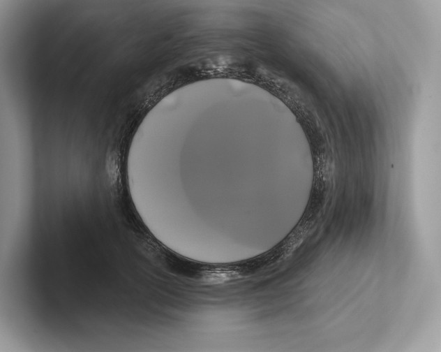 X0000100920754200807221115