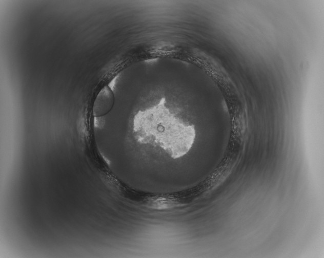 X0000100920755200807221115