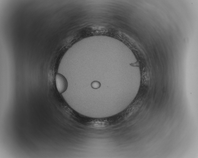 X0000100920756200807221115
