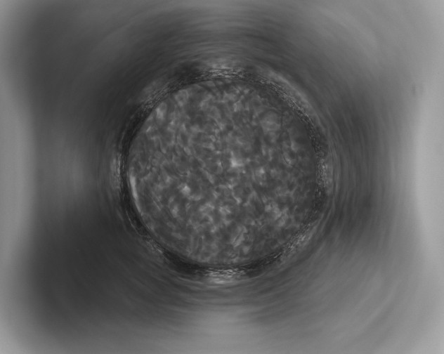X0000100920757200807221115