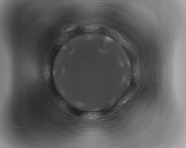 X0000100920758200807221115