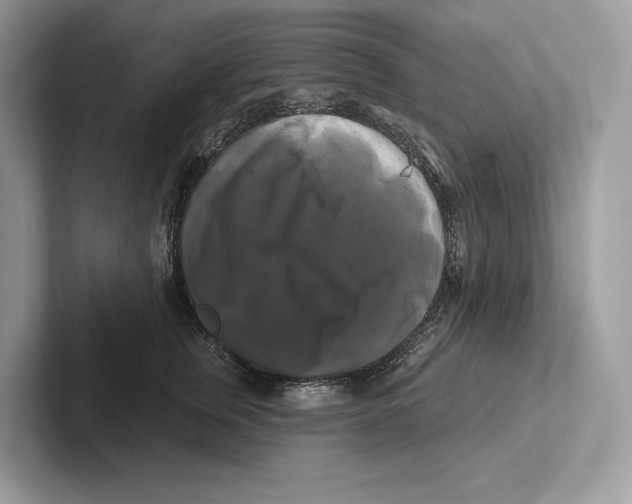 X0000100920759200807221115