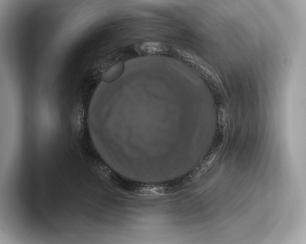 X0000100920760200807221116
