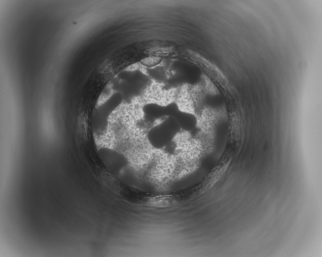 X0000100920761200807221116