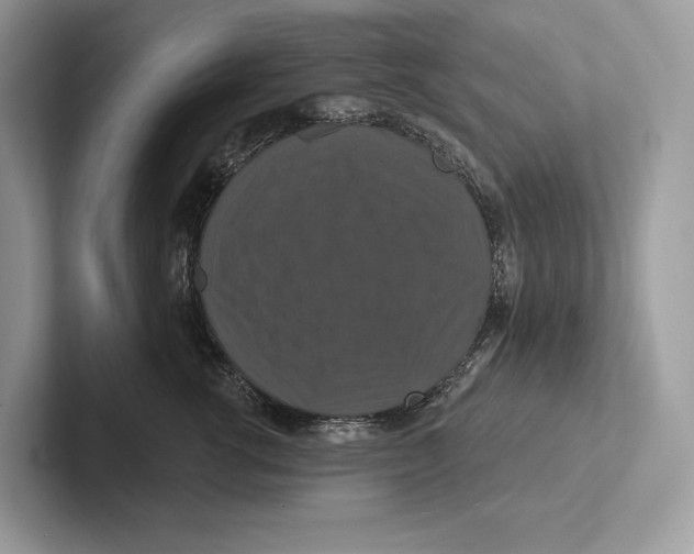 X0000100920762200807221116