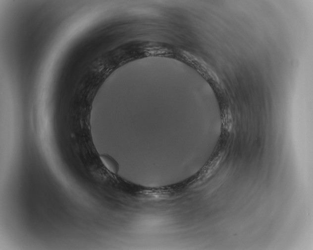 X0000100920763200807221116