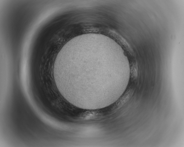 X0000100920764200807221116