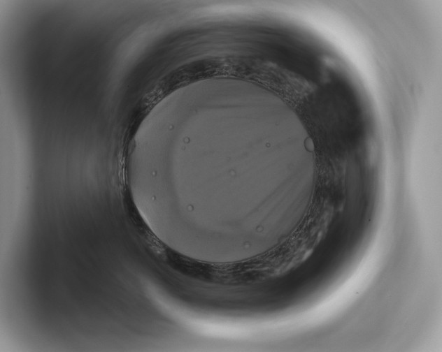 X0000100920766200807221116